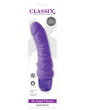 Classix Mr. Right Vibrator Purple