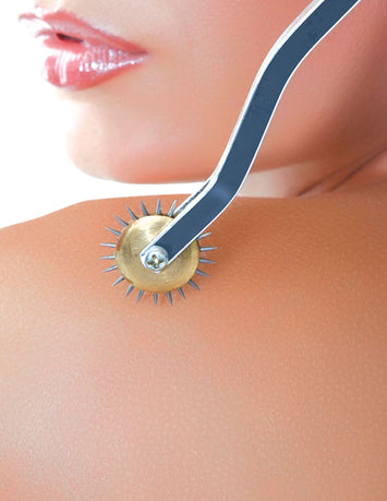 Fetish Fantasy Deluxe Wartenberg Wheel Default Title