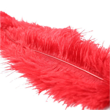 Ostrich Feather Red Default Title