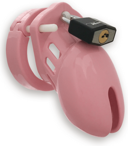 Chastity Device 2 1/2 