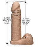 Ultra-realistic 8in Cock W/harness Bx