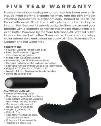 Zero Tolerance Eternal P Spot Prostate Massager Black Default Title