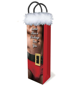 Santa Has A Big Package For You Gift Bag