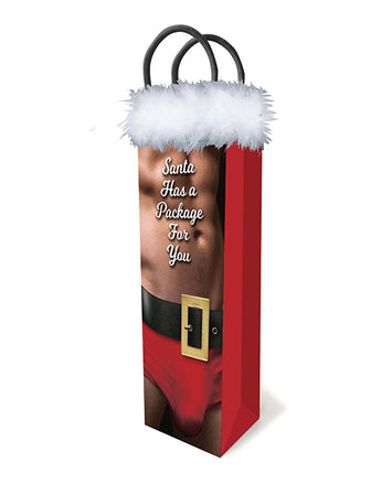 Santa Has A Big Package For You Gift Bag Default Title