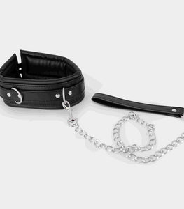 Collar & Leash