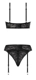 Ooh La Lace Demi Bra Garter & Tanga