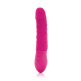 Inya Twister Vibrating Dildo