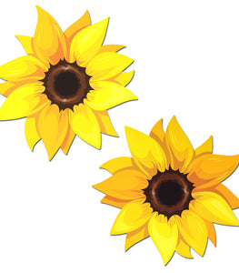 Pastease Sunflower