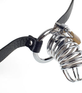 Fetish Fantasy Extreme Chastity Belt