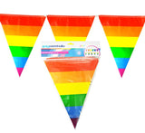 Rainbow Striped Pennants