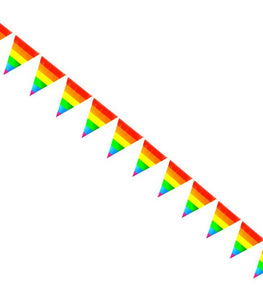 Rainbow Striped Pennants