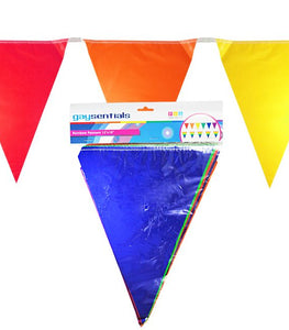 Rainbow Solid Pennants