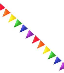 Rainbow Solid Pennants