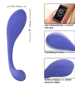 Connect Kegel Exerciser