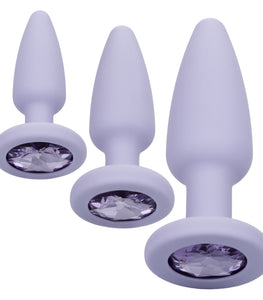 First Time Crystal Booty Kit Purple