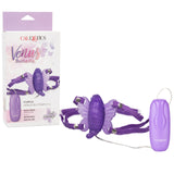 Venus Butterfly Ii-purple