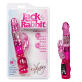Petite Jack Rabbit