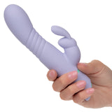 Love Bunny Thrusting Bunny Purple