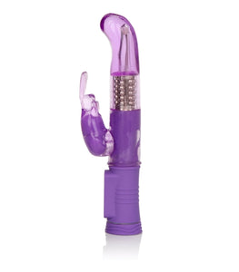 Shanes World Jack Rabbit G