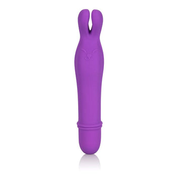 Shane's World Bedtime Bunny Purple
