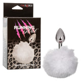 Running Wild White Bunny