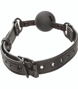 Nocturnal Ballgag