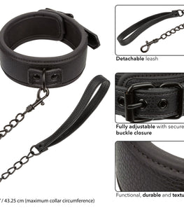 Nocturnal Collar & Leash