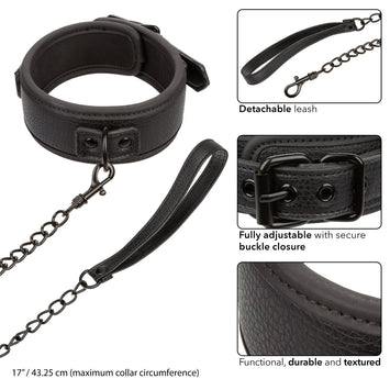 Nocturnal Collar & Leash Default Title