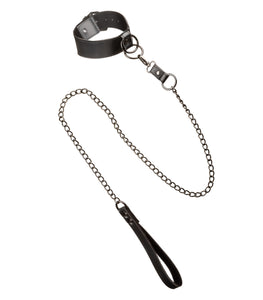 Euphoria Collar W/ Chain Leash