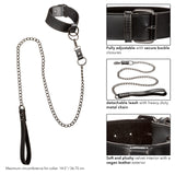 Euphoria Collar W/ Chain Leash