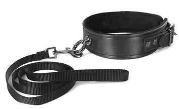Galaxy Legend Collar & Leash Black Default Title