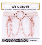Peaches N Creame Collar W/ Nipple Clamps Default Title