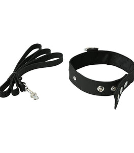 Premium Leather Leash & Collar Default Title