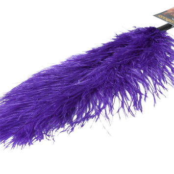 Ostrich Feather Purple Default Title