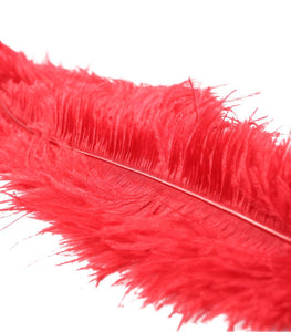 Ostrich Feather Red Default Title