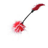 Sex & Mischief Whipper Tickler & White