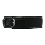 Edge Lined Leather Collar