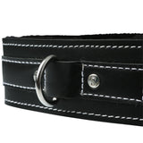 Edge Lined Leather Collar