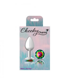 Cheeky Charms Round Rainbow Silver Plug