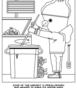 A Visit To The Cannabis Farm Coloring Book Default Title