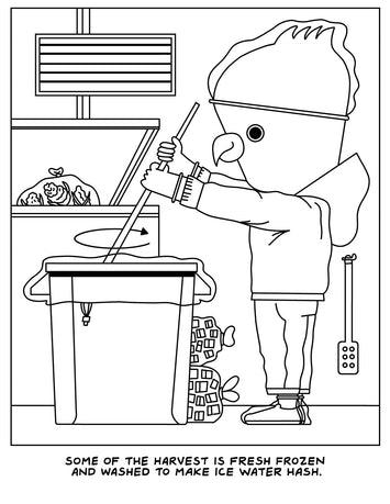 A Visit To The Cannabis Farm Coloring Book Default Title