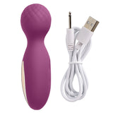 Cloud 9 Health & Wellness Flexi-massager Rechargeable Wand