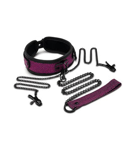 Dragons Lair Collar Leash Nipple Clip