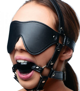Strict Eye Mask Harness W/ Ball Gag Default Title